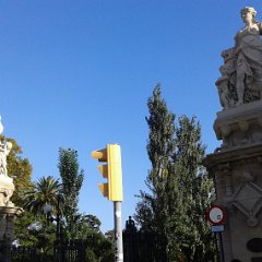 IMG 375